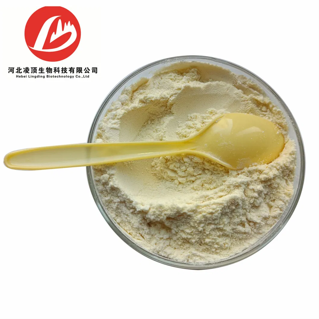 Food Ingredient Soy Protein Isolate CAS 9010-10-0 Soy Protein