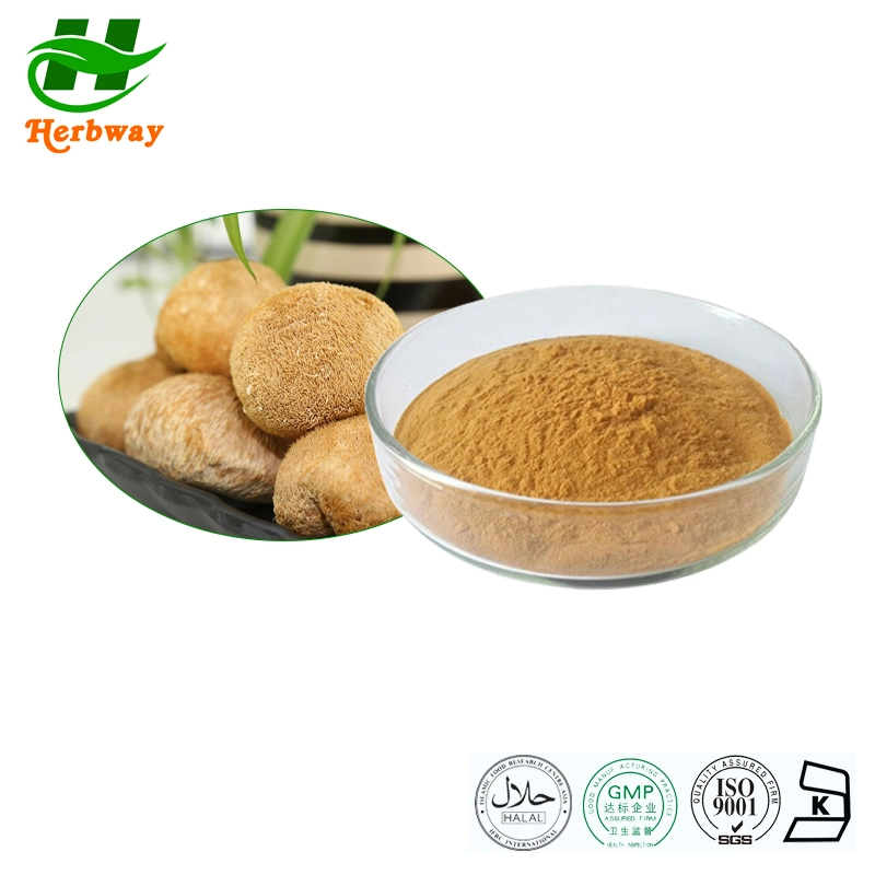 Herbway Kosher Halal Fssc HACCP Certified Improving Immunity Lions Mane Mushroom Extract