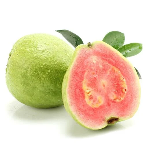 Guava Fruit Extract Polyphenols Ellagic Acid and Flavonoids Powder