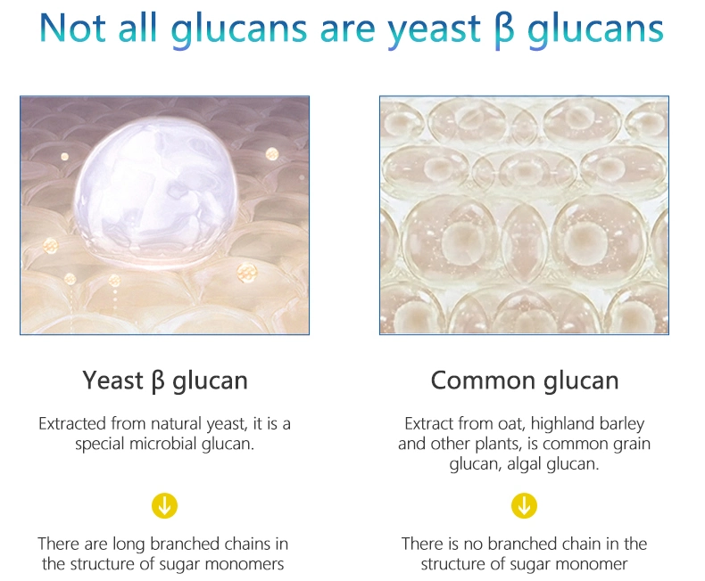 Factory Supply High Quality Yeast Beta Glucan 80% Powder