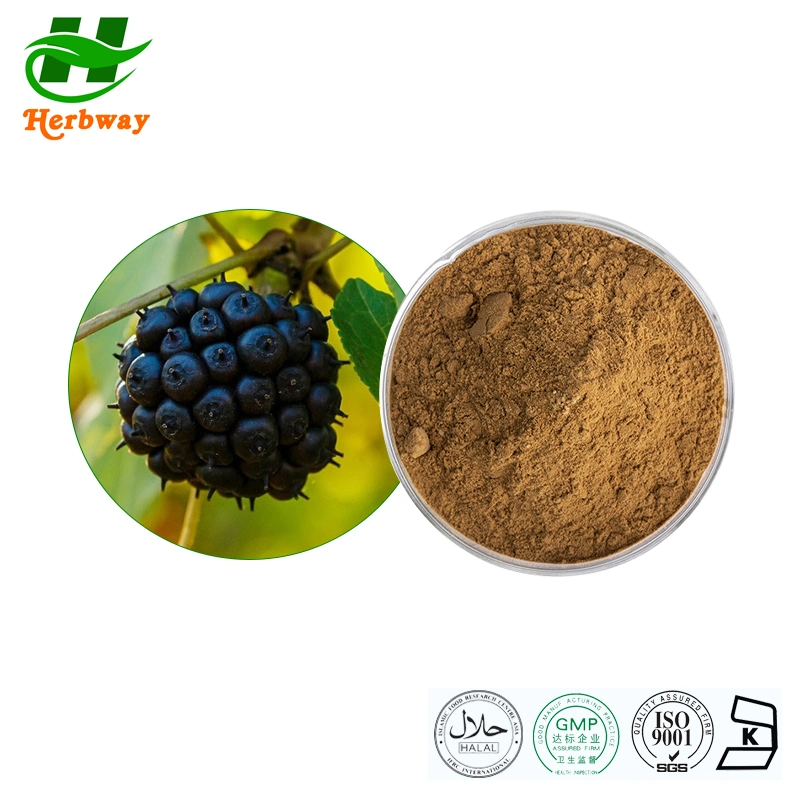 Herbway Eleutherosides B + E Siberian Ginseng Root Powder Extract Powdered Eleuthero Extract Siberian Ginseng Extract