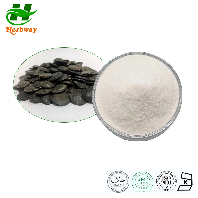 Herbway Kosher Halal Fssc HACCP Certified Pure Herbal 10%~99% 5-Htp Powder Griffonia Seed Extract in Bulk