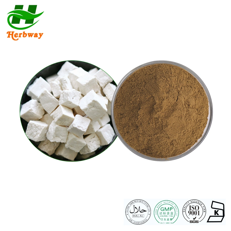 Herbway Plant Extract Free Sample Pharmaceutical Poria Cocos Extract for Helping Sleep Polysaccharide